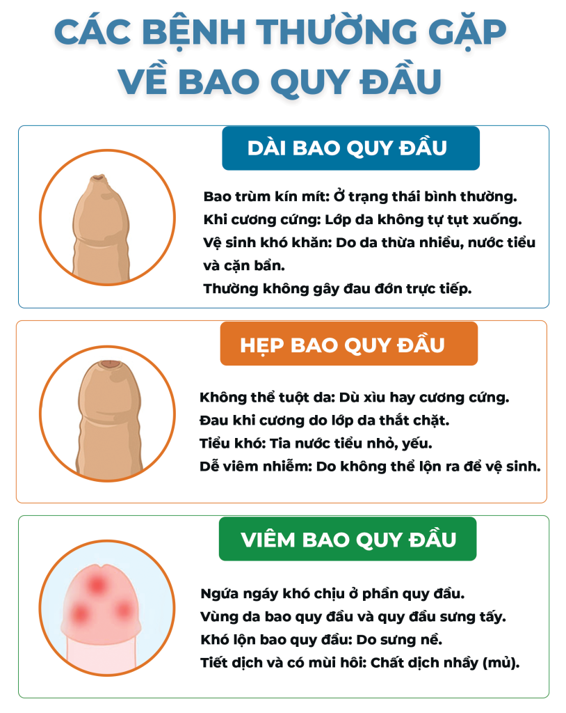 Trang 4 Cắt Bao Quy Đầu