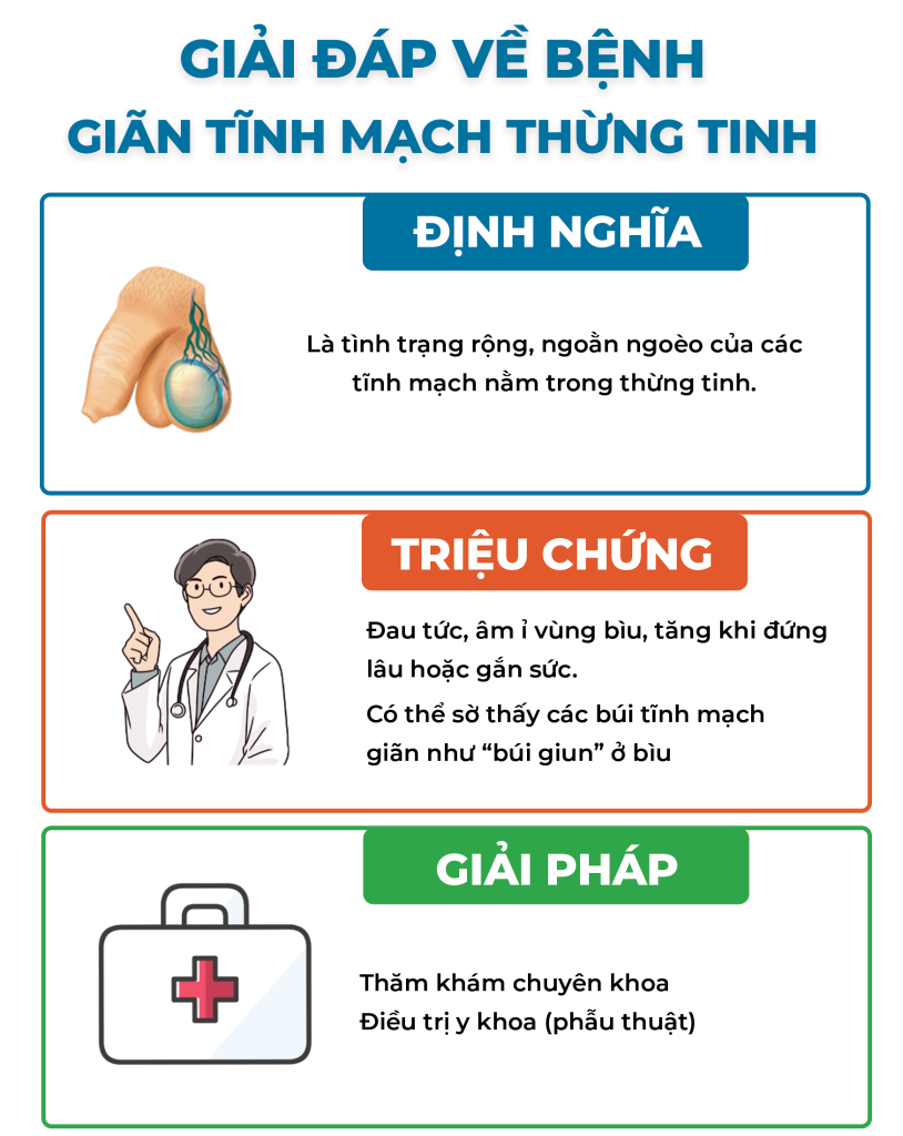 Trang 4 Giãn Tỉnh Mạch Thừng Tinh