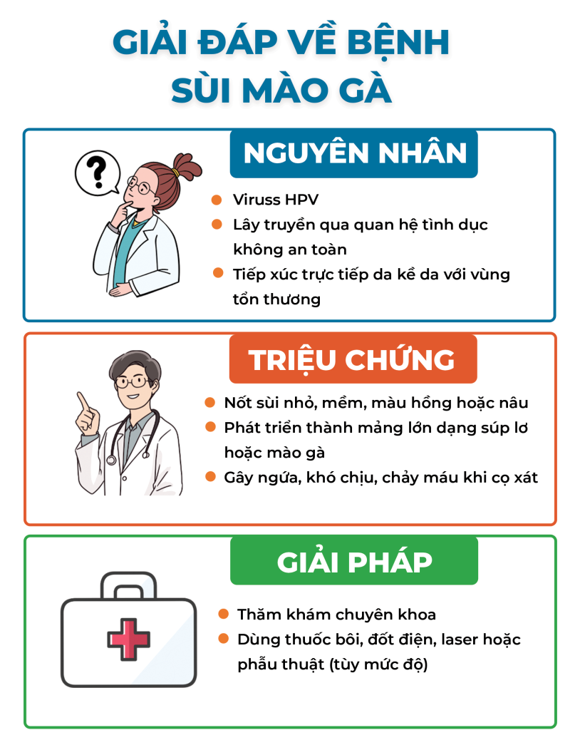 Trang 4 Sùi Mào Gà