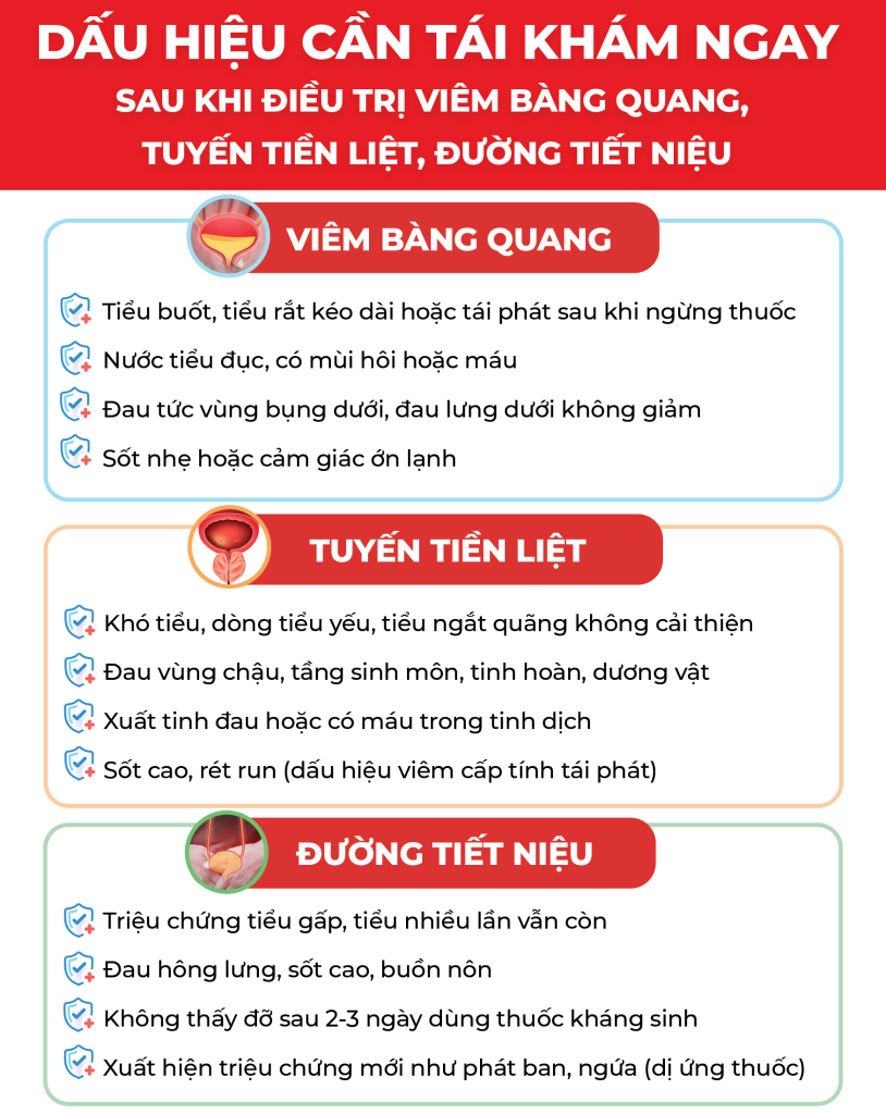 Trang 3 Viêm Bàng Quang Viêm Tuyến Tiền Liệt Viêm Đường Tiết Niệu