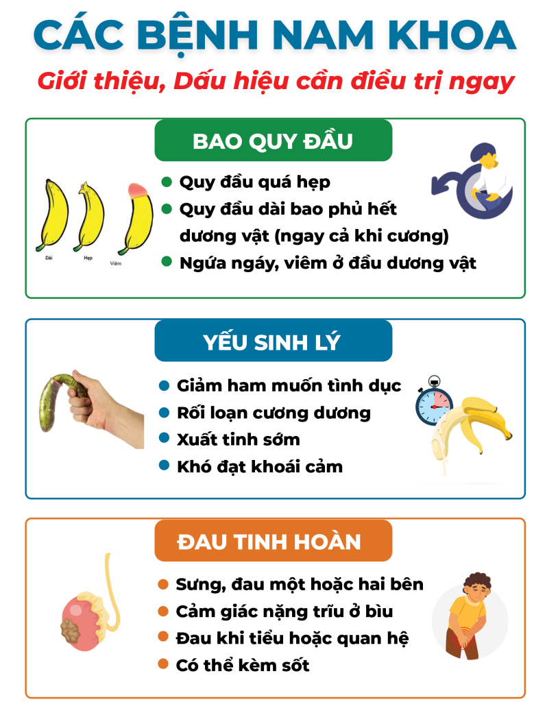 Trang 5 Viêm Bàng Quang Viêm Tuyến Tiền Liệt Viêm Đường Tiết Niệu